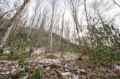 00 Lori Ln, Whittier, NC 28789 - photo 3