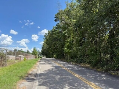 0 Murray St, Orangeburg, SC 29115 - photo 4