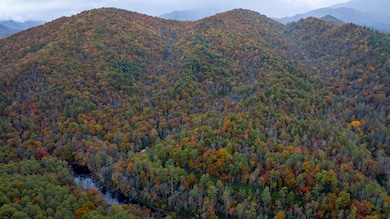 3549P Snowbird Rd, Robbinsville, NC 28771 - photo 4