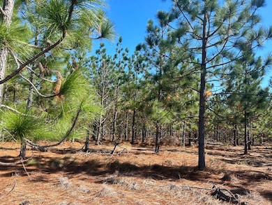 5710 Lake Robinson Rd, Hartsville, SC 29550 - photo 3