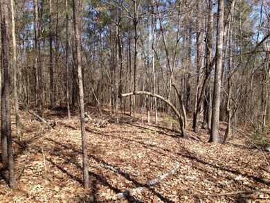 21 Rivermist Rd, Juliette, GA 31046 - photo 2