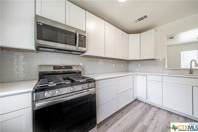 4203 Lower Troy Rd, Temple, TX 76501 - photo 7