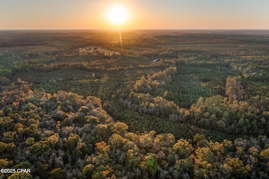 1503 Open Creek Rd unit North Lot, Chipley, FL 32425 - photo 3