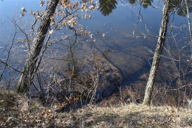 Lot 4 Glendening Rd, Swiss Township, WI 54830 - photo 4