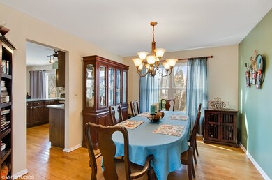 1317 York Dr, Carpentersville, IL 60110 - photo 5