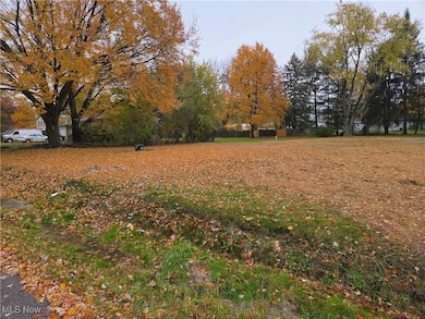 4234 Watkins Rd, Norton, OH 44203 - photo 7