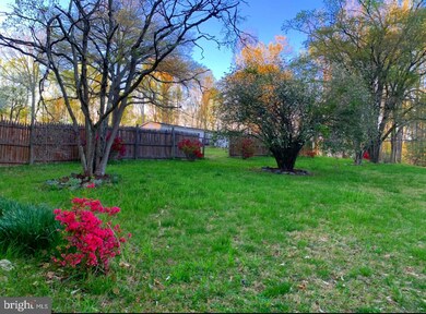 11235 Catharpin Rd, Spotsylvania, VA 22553 - photo 3