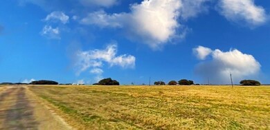 7131 Sandy Oaks Dr, Whitney, TX 76692 - photo 2