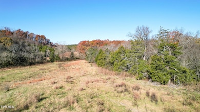 Lot 33 Sinking Springs Rd, Midway, TN 37809 - photo 6