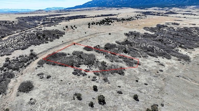 Bernard Ave, Rye, CO 81069 - photo 3