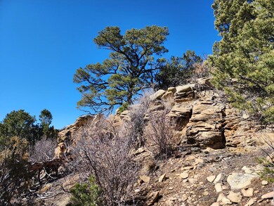 0 Hiddenwood Ln, Trinidad, CO 81082 - photo 4