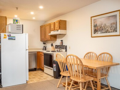North Peak 2 203-5
