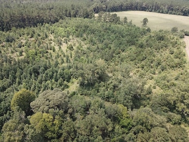 2800 County Road 441, Magnolia Springs, TX 75956 - photo 3