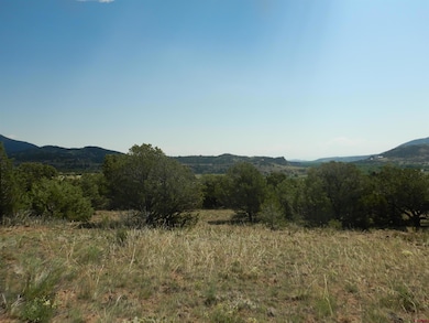 222 La Lomita Cir, South Fork, CO 81154 - photo 4