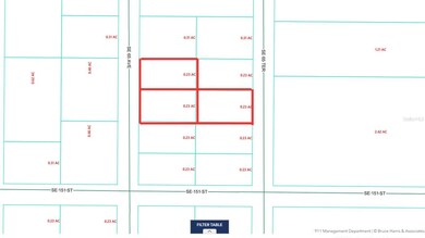 0 SE 65th Ave, Summerfield, FL 34491 - photo 5