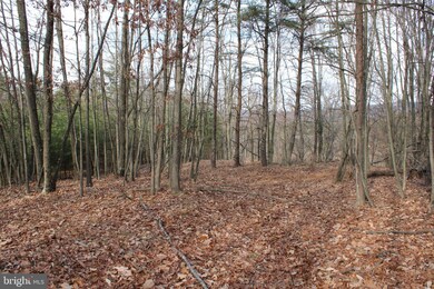 21.16 AC Ridge View Rd, Moorefield, WV 26836 - photo 3