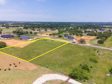 154 Hansma Way, Weatherford, TX 76087 - photo 6