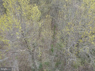 60 American Dr, Montross, VA 22520 - photo 5