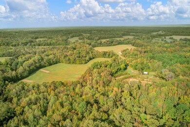 1975 Bethlehem Rd, Moscow, TN 38057 - photo 4