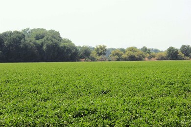 690 & 698 Hale Rd, Weiser, ID 83672 - photo 4