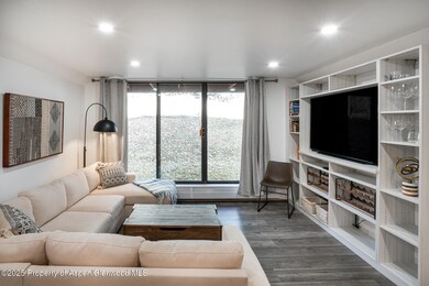 1316 Vine St unit 1316, Aspen, CO 81611 - photo 2