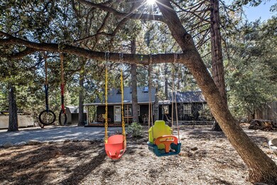A playground in the trees