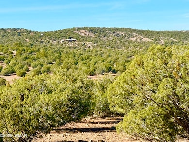 0 Kirkland Dr 20 Acres unit 258779, Concho, AZ 85924 - photo 4
