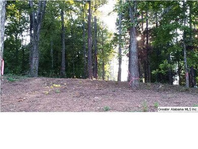 LOT HAS BEEN CLEARED
