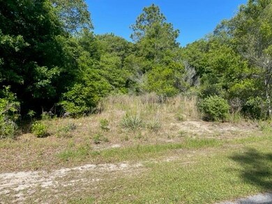 8668 N Spartan Dr, Citrus Springs, FL 34433 - photo 3