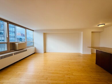 unlisted-address, Chicago, IL 60613 - photo 4