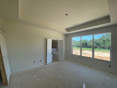 158 Chester Rd, Springtown, TX 76082 - photo 6