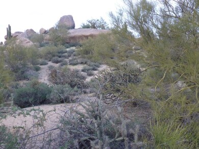 24526 N 119th Place unit 9, Scottsdale, AZ 85255 - photo 7