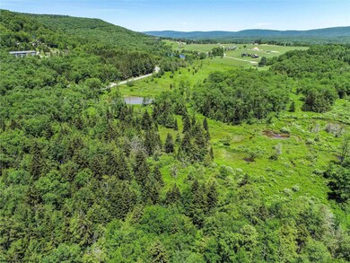 00 Mountainview Dr, Davis, WV 26260 - photo 3