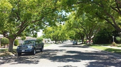 Tree lined streets and sidewalks on both sides mak