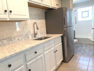 7300 S 78th Ave unit 4, Bridgeview, IL 60455 - photo 4