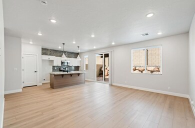 Kitchen and Living Space