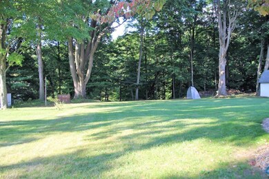 Backyard with wooded views!