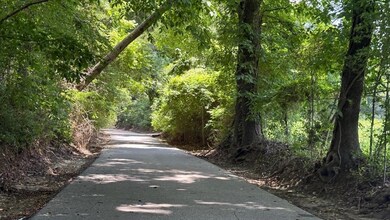 View of road with a view of trees