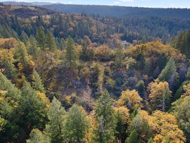 0 Apn#077-021-032-000 unit 225143969, Pollock Pines, CA 95726 - photo 2