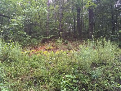 23 Walden Ridge Rd, Sevierville, TN 37862 - photo 4