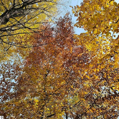 11739 Fewins Rd, Honor, MI 49640 - photo 5