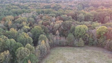 Lot C Hayneville Ridge Rd unit C, Montgomery, AL 36052 - photo 2