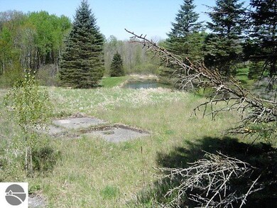 3413 Pine St, Hale, MI 48739 - photo 3