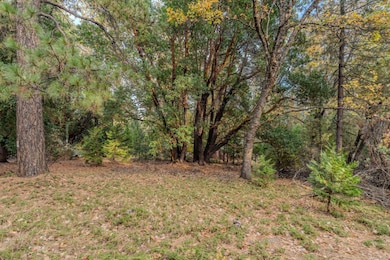 17686 S Mace Dr, Pioneer, CA 95666 - photo 4