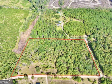 0 Eugene Ward Rd unit 10652768, Adrian, GA 31002 - photo 2