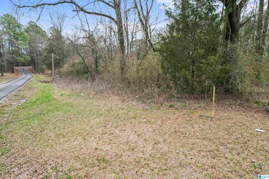 0 Milstead Dr unit 1, Calera, AL 35040 - photo 2