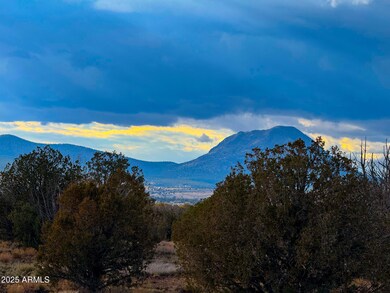 0 W Big Moon Ln Lot A -- unit 6881317, Ash Fork, AZ 86320 - photo 5