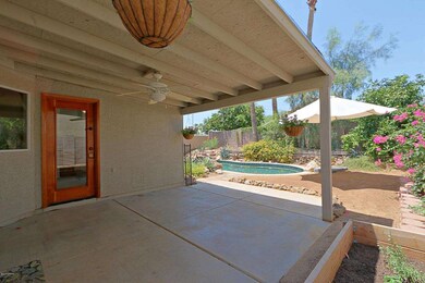 Backyard 1