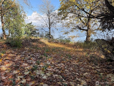 43 Beach Way, Hat Island, WA 98206 - photo 4