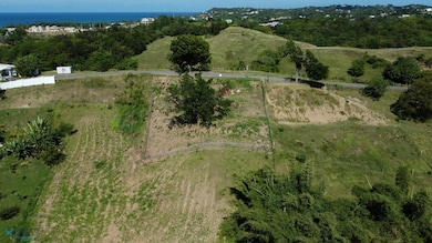 0 Stella Royal unit Solar 1, Rincon, PR 00677 - photo 3